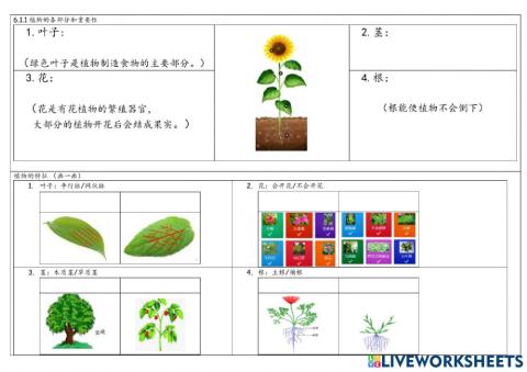 植物各部位的重要性