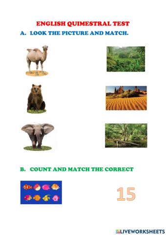 English Quimestral Test