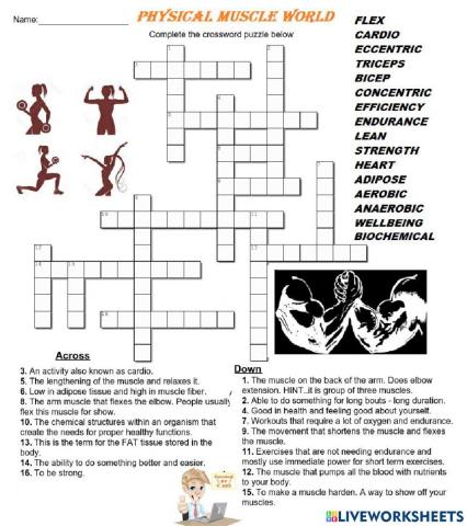 Muscles and Physical Education Crossword