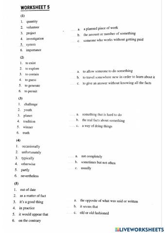 Module E Vocabulary - worksheet 5