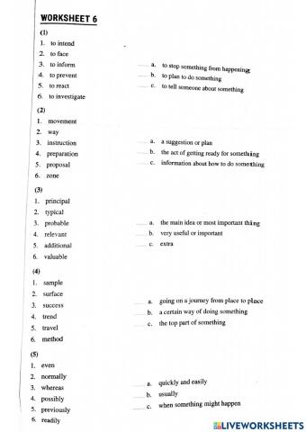 Module E Vocabulary - worksheet 6