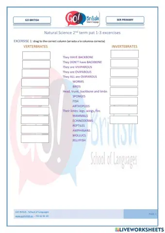 Vertebrates e invertebrates. Mammals- birds