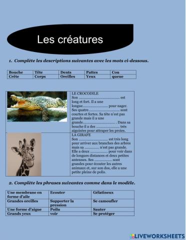 Exam Les créatures 1 DBH