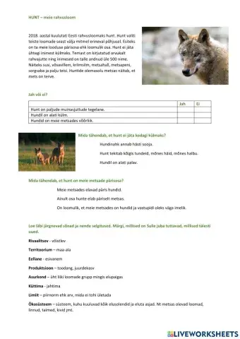 Hunt - Eesti rahvusloom 3.-4. kl eesti k ja loodusõp lõiming Eesti teemal