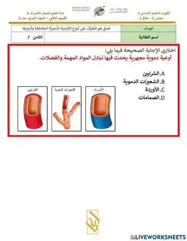 انواع الاوعية الدموية