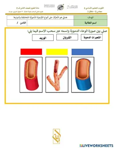 الاوعية الدموية