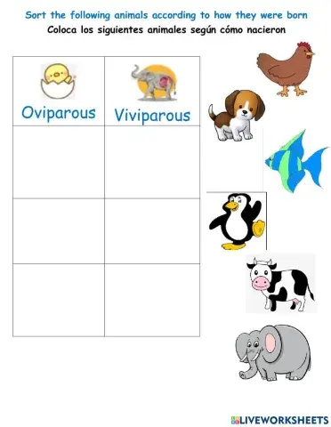 Oviparous and viviparous animals