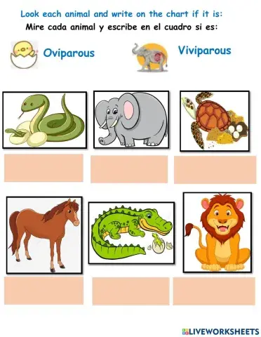 Oviparous or viviparous