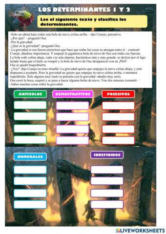 T6-determinantes (controlillo)