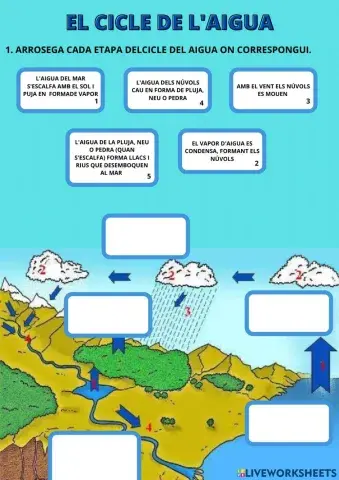 Cicle del aigua (en majúscules)