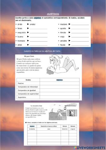 Adjetivos