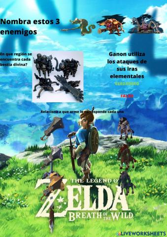 Zelda botw examen