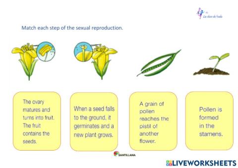 Reproducción sexual de las plantas