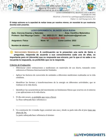 Diagnóstico 10˚ nivel