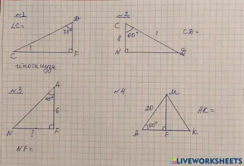 Прямокутний трикутник