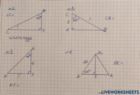 Прямокутний трикутник