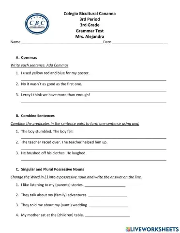 Grammar 3rd Period Test