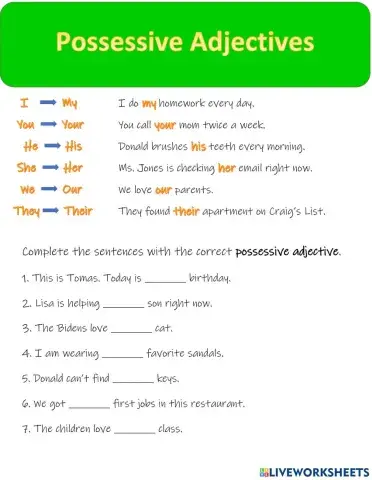 Possessive Adjectives