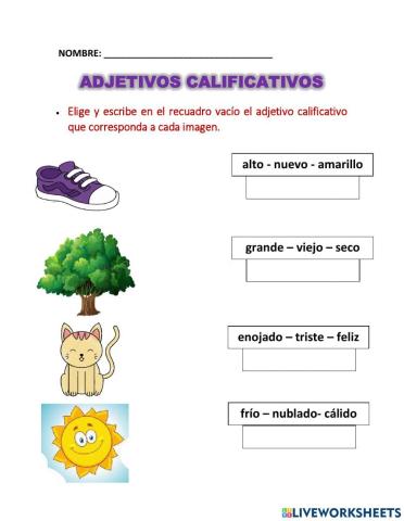 ADJETIVOS CALIFICATIVOS 