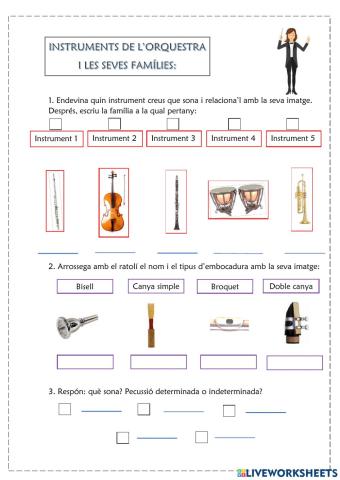 Instruments musicals, reconeixement i característiques