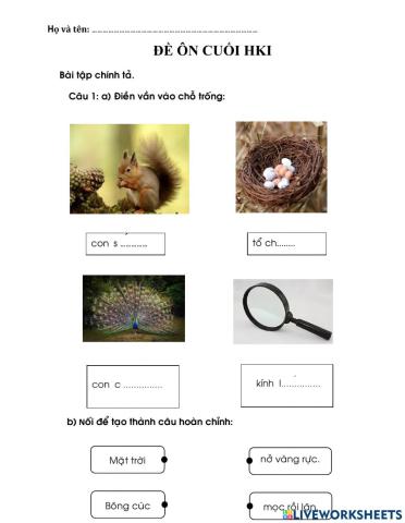 Bài tập chính tả