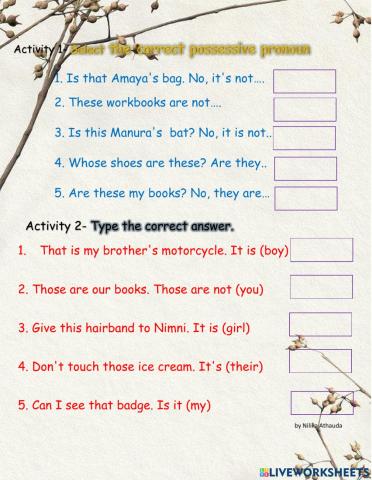 Possessive  pronouns