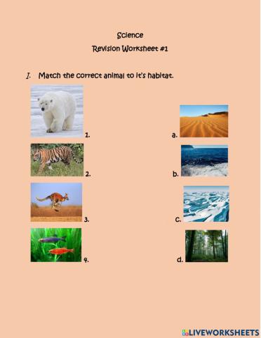 Science Revision Worksheet 1-