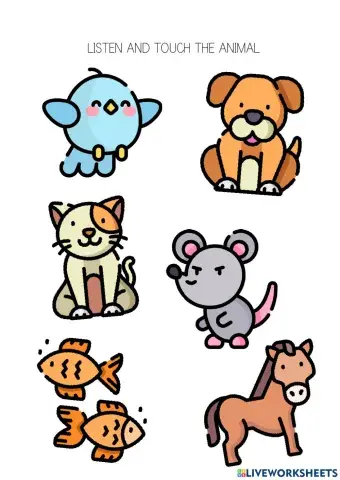 Listen and touch the animal