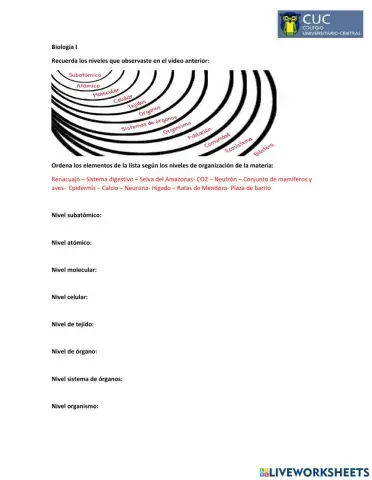 Niveles de organización