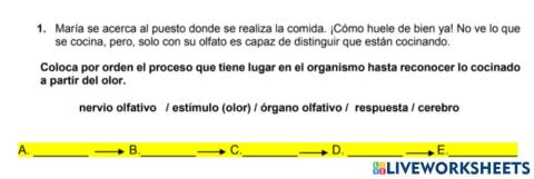 Prueba CAM 6º: Competencias básicas ciencias y tecnología 1
