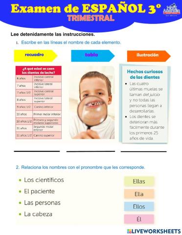 Examen  2do trimestral español