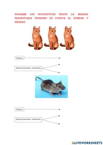 Práctica de sustantivos