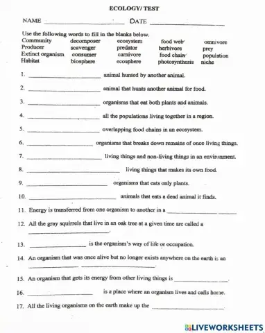 Ecology Vocabulary Worksheet 