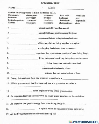 Ecology Vocabulary Worksheet 