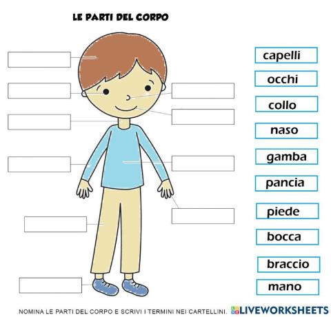 Le parti del corpo