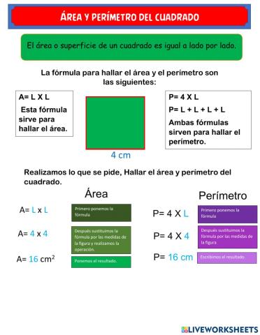 Área y perímetro del cuadrado