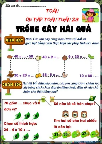 Phiếu ôn tuần 23