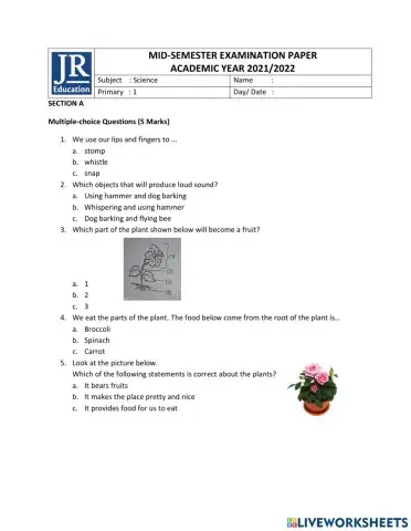 Mid semester Science Primary 1