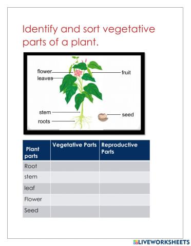 Vegetative propagation