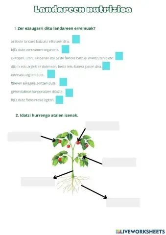 Landareen nutrizioa 1