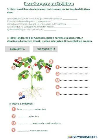 Landareen nutrizioa 2