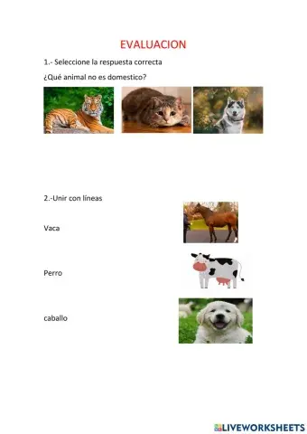 Examen quimestral de informatica