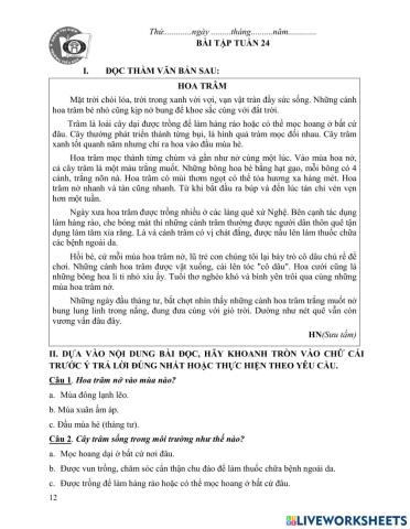 BTCT Tiếng Việt tuần 24