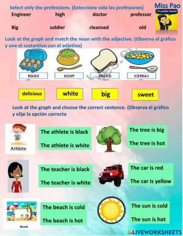 Sustantivos y adjetivos en inglés