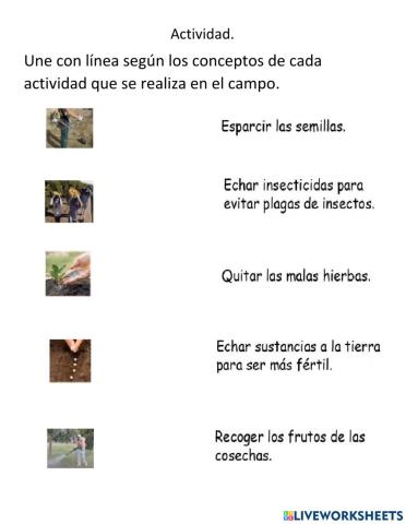  Unidad 5 cultivo del secano - S1