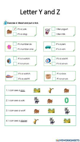 Letter Y and Z