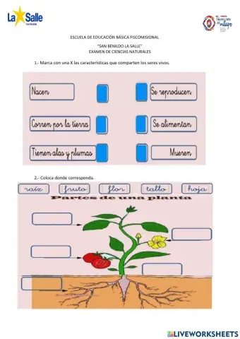 Examen de ciencias naturales