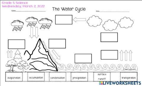Water Cycle