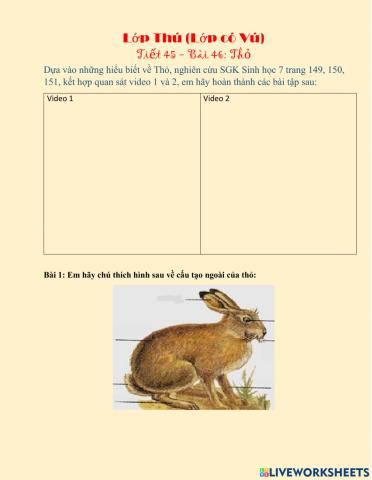 Phiếu học tập Tiết 45- Thỏ