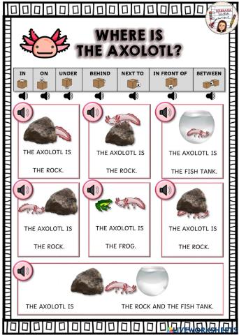 Where is the axolotl